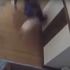Kedi 9 gündür kurtarılmayı bekliyordu