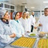 Bu baklavaların geliri kadın sığınma evlerine Bu baklavaların geliri kadın sığınma evlerine