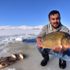Ahlat’ın Nazık Gölü’nde balıklar ölüyor