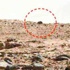 Mars yüzeyinde 3 metrelik fare!