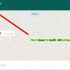 Foto Galeri: WhatsApp'ta artık yazdığınızı kimse göremeyecek Foto Galeri: WhatsApp'ta artık yazdığınızı kimse göremeyecek
