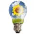 Enerjide tasarrufla 1 çeyrek altın cepte Enerjide tasarrufla 1 çeyrek altın cepte