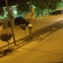 Olaylı gece! Çok sayıda yaralı var Olaylı gece! Çok sayıda yaralı var