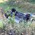 Kırşehir'de feci trafik kazası: 7 yaralı Kırşehir'de feci trafik kazası: 7 yaralı