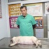 Marmaris’te Bir Ayda 30 Köpek Zehirlendi