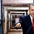 Erdoğan müjdeyi verdi! Bu 6 suçu işleyenler hariç, ...