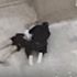4. kattan düşen sevgilisinin başında ağlayan genç hakkında yeni gelişme 4. kattan düşen sevgilisinin başında ağlayan genç hakkında yeni gelişme