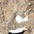 Hakkari'de çok sayıda silah, mühimmat ve malzeme ele geçirildi Hakkari'de çok sayıda silah, mühimmat ve malzeme ele geçirildi