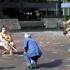 Vali Çınar, 'haka dansı' ile karşılandı