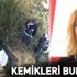 Son dakika: Müge Anlı canlı yayınında Seher Okusal'ın cesedinin bulunduğu siyah torba ve kemikler bulundu! 4 Şubat Son dakika: Müge Anlı canlı yayınında Seher Okusal'ın cesedinin bulunduğu siyah torba ve kemikler bulundu! 4 Şubat