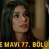 Aşk ve Mavi 77. bölüm izle, Aşk ve Mavi son bölüm full tek parça canlı izle.. Yaman ile Mavi arasında neler olacak? (YouTube, ATV izle) Aşk ve Mavi 77. bölüm izle, Aşk ve Mavi son bölüm full tek parça canlı izle.. Yaman ile Mavi arasında neler olacak? (YouTube, ATV izle)