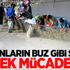 Kadınların buz gibi suda ekmek mücadelesi