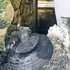 İncirlik'ten kalktı, Lazkiye'de düştü ! İncirlik'ten kalktı, Lazkiye'de düştü !