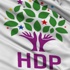 HDP’den miting açıklaması!