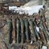 Van’da 10 adet RPG-7 antitank roketatar mühimmatı ele geçirildi Van’da 10 adet RPG-7 antitank roketatar mühimmatı ele geçirildi