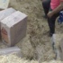 76 bin paket kaçak sigara