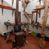 Sahipsiz kediler için sıcak villa