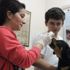 Şoke eden soru: 'Kızıma da, kediye köpeğe taktiğiniz gibi çip takar mısınız?' Şoke eden soru: 'Kızıma da, kediye köpeğe taktiğiniz gibi çip takar mısınız?'