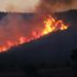 Ankara'nın Çubuk ilçesinde çıkan orman yangınına müdahale ediliyor