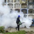Brezilya'da Zika salgını: Özürlü doğan bebek sayısı artıyor