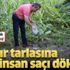 Tarlasını domuzlardan saç kılıyla koruyor
