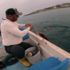 Amatör balıkçı, ağa takılan Caretta Caretta’yı ‘gülüm, bir tanem’ diyerek kurtardı Amatör balıkçı, ağa takılan Caretta Caretta’yı ‘gülüm, bir tanem’ diyerek kurtardı