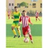 Spor Toto 3. Lig Spor Toto 3. Lig