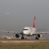 Pilot, ''Pistte martı ölüsü var''