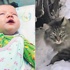 Donmak üzere olan bebeği, kedi kurtardı Donmak üzere olan bebeği, kedi kurtardı