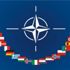 NATO, Gara'da 13 Türk vatandaşının şehit edilmesini kınadı
