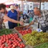Organik Tarım Çiftçinin Umudu Oldu