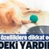 Evdeki yardımcı