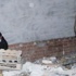 19 yaşındaki genç, boğazı kesilmiş halde bulundu, babası zanlı olarak gözaltında 19 yaşındaki genç, boğazı kesilmiş halde bulundu, babası zanlı olarak gözaltında