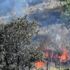 Bodrum'da yangın Bodrum'da yangın