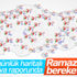 5 günlük haritalı hava raporu