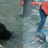 Nehirden çıkan köpeğin üzerine ceketini örttü