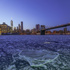 New York'taki East River buz tuttu