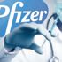  BioNTech/Pfizer'dan gençlere büyük müjde BioNTech/Pfizer'dan gençlere büyük müjde