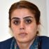 HDP'li vekil gözaltında