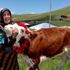 Doğu Karadeniz'de asırlık gelenek sürdürülüyor Doğu Karadeniz'de asırlık gelenek sürdürülüyor