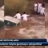 Telefona çıkmayan karısının burnunu ısırıp yuttu