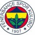 Fenerbahçe'nin net borcu 403 milyon lira