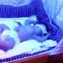 Poyraz Bebek Artık Hastahanede Poyraz Bebek Artık Hastahanede