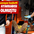 Şahin’den Muhalefete ‘Uyanık Tüccar’ Göndermesi
