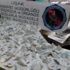 Uşak'taki uyuşturucu operasyonunda 19 kişi tutuklandı Uşak'taki uyuşturucu operasyonunda 19 kişi tutuklandı