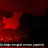 (görüntülü) doğa sevgisi orman yaptırdı