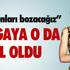 Fransa'daki uçak kazası