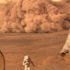 NASA araştırdı! Mars'ta binlerce yıl süren fırtınalar yaşandı