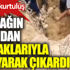Çin’de toprak altında kalan 2 çocuk böyle kurtarıldı Çin’de toprak altında kalan 2 çocuk böyle kurtarıldı