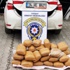 Yozgat'ta 58 kilo esrar yakalandı Yozgat'ta 58 kilo esrar yakalandı